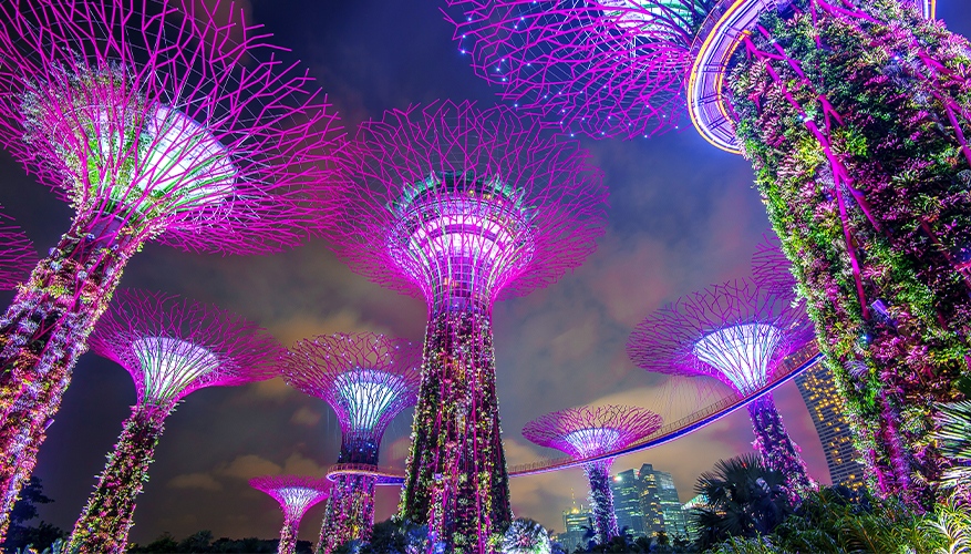 Garden by the Garden, Singapore